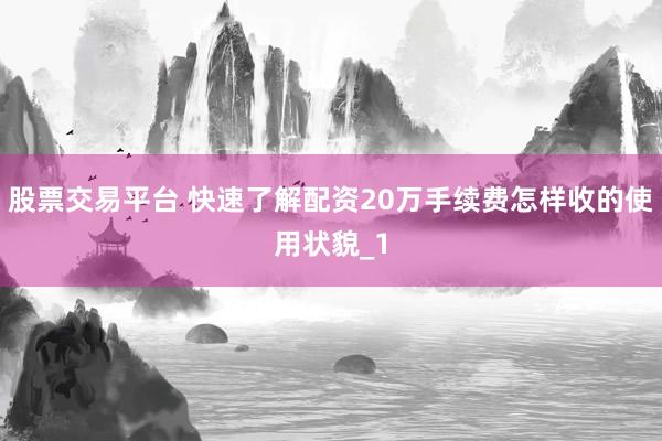 股票交易平台 快速了解配资20万手续费怎样收的使用状貌_1