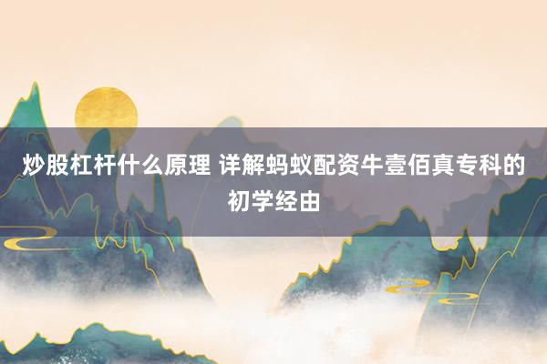 炒股杠杆什么原理 详解蚂蚁配资牛壹佰真专科的初学经由