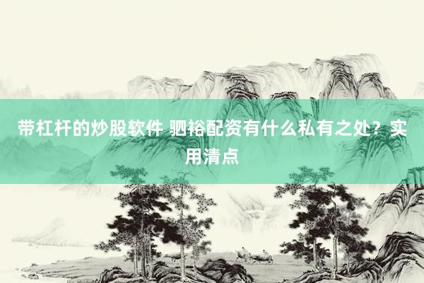 带杠杆的炒股软件 驷裕配资有什么私有之处？实用清点